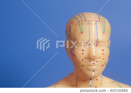 Medical acupuncture model of human 60316860