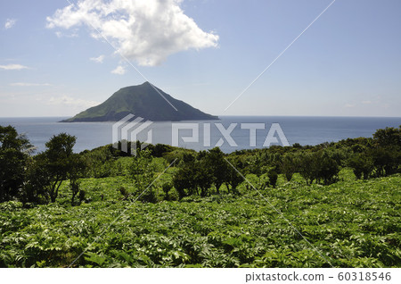 Ashitaba field and Hachijo Hiroshima 60318546