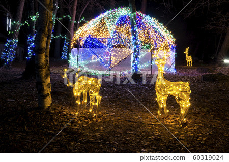 長野縣Su訪郡原村新村信州冬夜的溫暖星空照亮2019 60319024