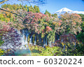 Shiraito瀑布的富士和秋葉 Shiraito瀑布的富士和秋葉 60320224