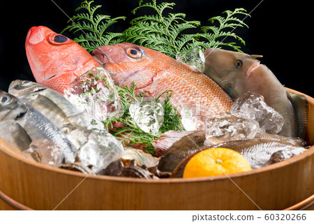 Assorted fresh fish Assorted fresh fish 60320266