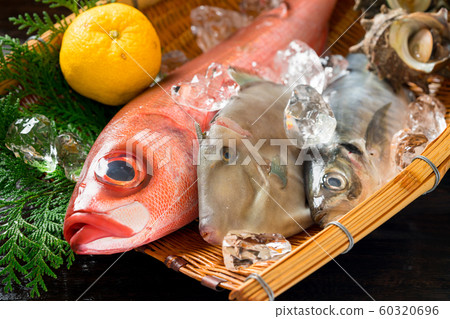 什錦鮮魚 什錦鮮魚 60320696