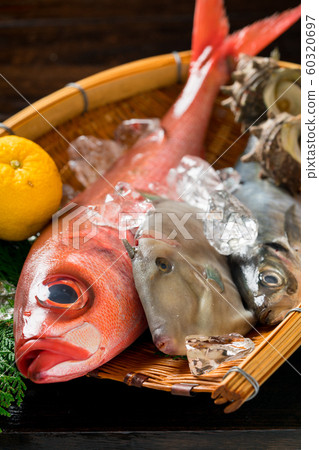 什錦鮮魚 什錦鮮魚 60320697