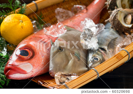 什錦鮮魚 什錦鮮魚 60320698