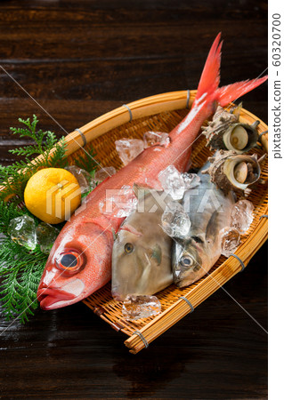 什錦鮮魚 什錦鮮魚 60320700