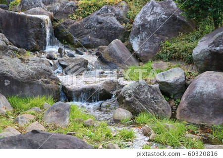 秋天風景山谷風格柏木 秋天風景山谷風格柏木 60320816