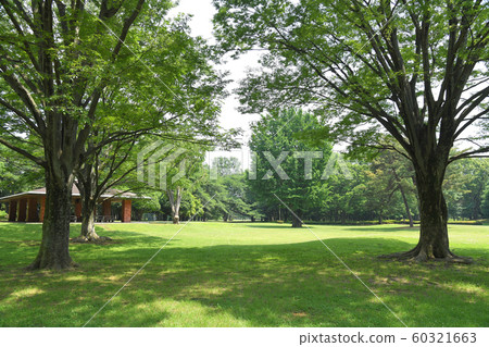 Chofu City, Koganei City, Mitaka City, Nogawa Park 60321663