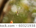  spider 60321938