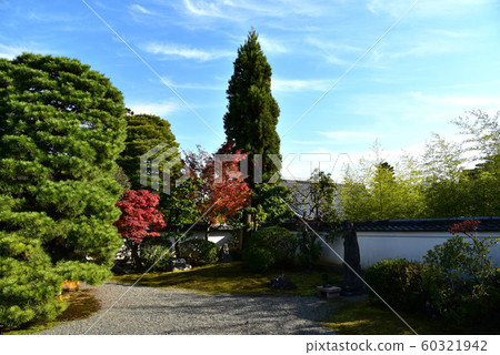 妙心寺大神院 妙心寺大神院 60321942