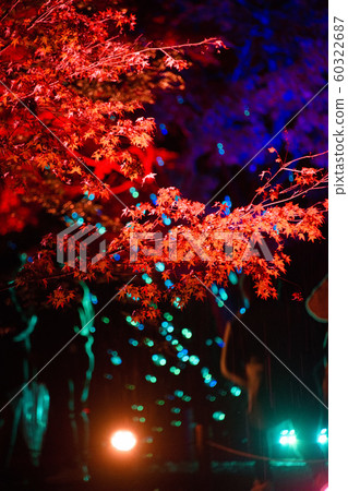 Nijo Castle 60322687