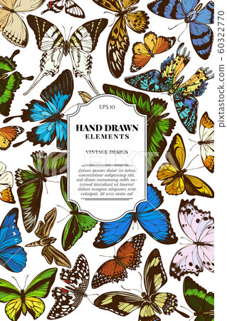 Card design with colored papilio ulysses, morpho menelaus, graphium androcles, morpho rhetenor cacica, papilio demoleus, cethosia biblis, papilio antimachus, alcides agathyrsus, ornithoptera priamus Card design with colored papilio ulysses, morpho menelaus, graphium androcles, morpho rhetenor cacica, papilio demoleus, cethosia biblis, papilio antimachus, alcides agathyrsus, ornithoptera priamus 60322770