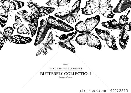 Design with black and white morpho menelaus, cethosia biblis, papilio antimachus, alcides agathyrsus, ornithoptera croesus lydius, graphium weiskei, ambulyx pryeri, urania rhipheus, salamis parhassus Design with black and white morpho menelaus, cethosia biblis, papilio antimachus, alcides agathyrsus, ornithoptera croesus lydius, graphium weiskei, ambulyx pryeri, urania rhipheus, salamis parhassus 60322813