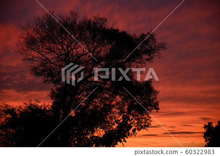 Sunset Sunset 60322983