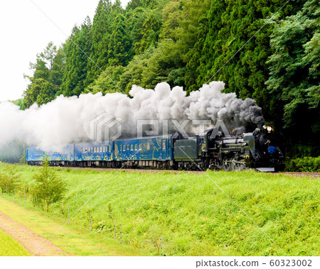 SL星系的出口 60323002