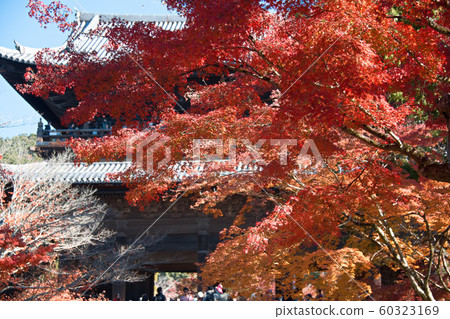 Nanzen-ji Temple Autumn 2019 60323169