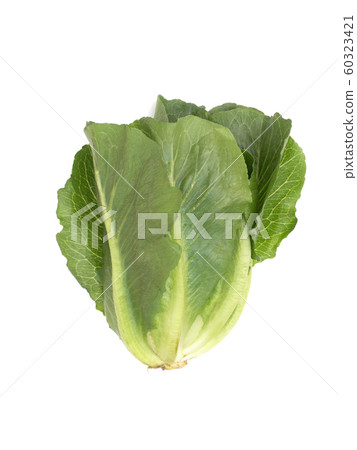 Snack lettuce 60323421