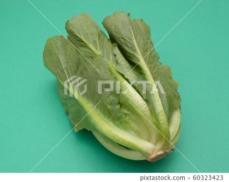 Snack lettuce Snack lettuce 60323423