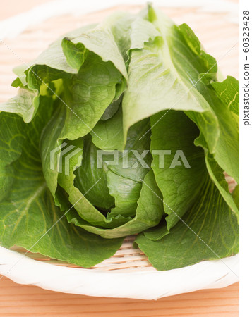 Snack lettuce 60323428