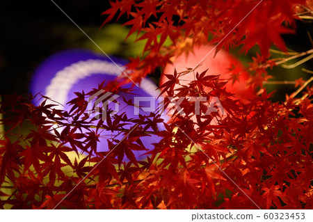 Shorinji Akiwa Umbrella 2019 Shorinji Akiwa Umbrella 2019 60323453