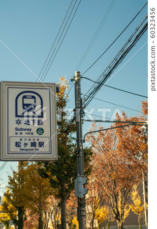 京都市營地鐵烏丸線，松崎站和銀杏樹 60323456