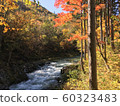山谷裡的秋葉 60323483