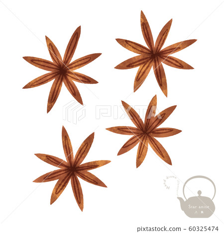 Star anise hand-drawn illustration / Chinese medicine / Yakuzen 60325474
