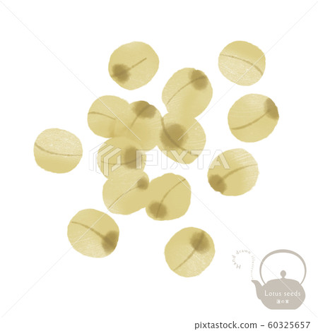 Lotus fruit / Hand-drawn illustration / Chinese medicine / Medicine Lotus fruit / Hand-drawn illustration / Chinese medicine / Medicine 60325657