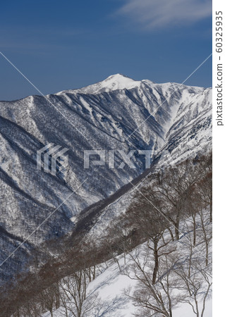Koide Kashiyama seen from Tenjin-one 60325935
