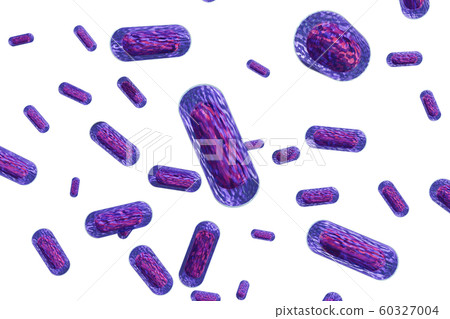 大腸桿菌的插圖（計算機圖形） 60327004