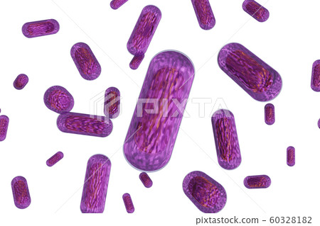 Illustration of E. coli (computer graphic) Illustration of E. coli (computer graphic) 60328182