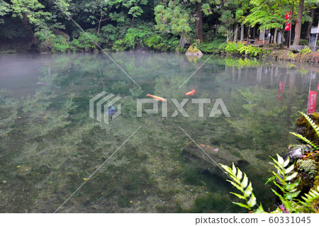 [Yamaguchi Prefecture] Izumihara Benten Pond / Landscape 60331045