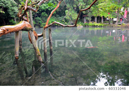 [山口縣]泉原本田池塘/景觀 60331046