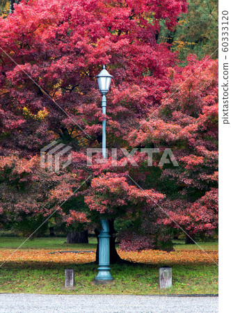 Classic street lamp in autumn park. Classic street lamp in autumn park. 60333120