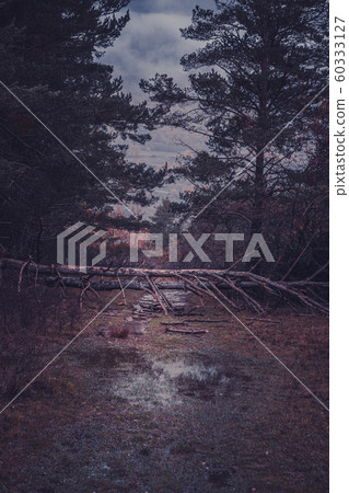 Traveling in Broto mountain Spain 60333127