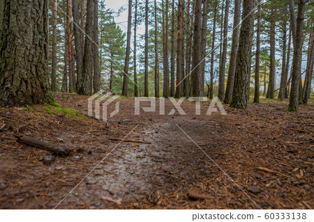 Traveling in Broto mountain Spain Traveling in Broto mountain Spain 60333138