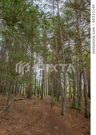 Traveling in Broto mountain Spain Traveling in Broto mountain Spain 60333140
