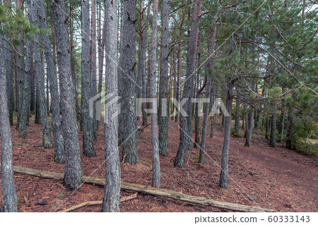 Traveling in Broto mountain Spain Traveling in Broto mountain Spain 60333143
