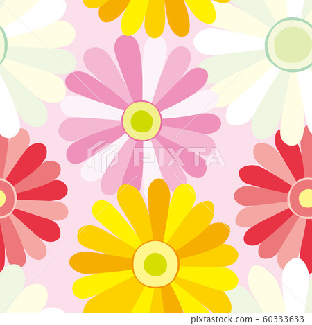 模式花非洲菊粉紅色粉紅色 60333633