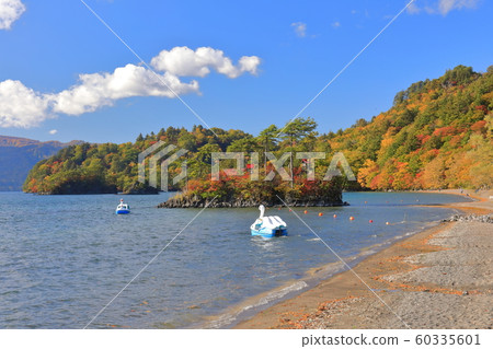 [Aomori Prefecture] Colored leaves of Lake Towada and Daikoku Shrine / Ebisu Shrine 60335601