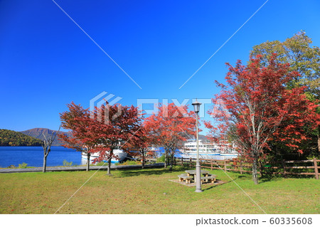 [青森縣]十和田湖遊船和紅葉 60335608
