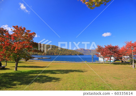 [Aomori Prefecture] Lake Towada pleasure boat and autumn leaves 60335614