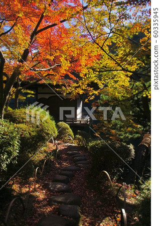 Wakayama Castle Park Autumn in Nishinomaru Garden Wakayama City, Wakayama Prefecture 60335945