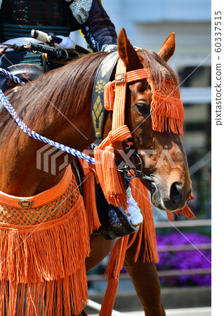 Soma horsei Soma horsei 60337515