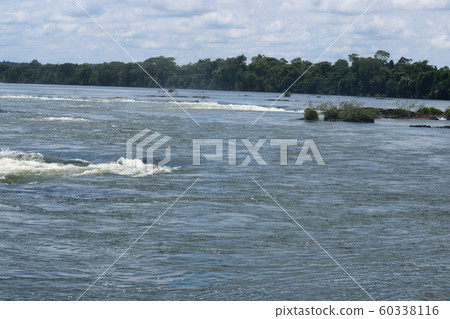 Iguazu Falls just upstream 60338116