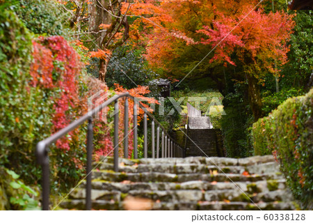 京都在秋天 京都在秋天 60338128