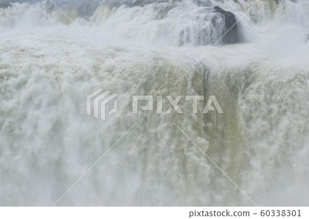 Iguazu Falls 60338301