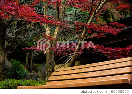 秋天 秋天 60338963