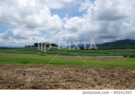 Thailand Chiang Rai Singha Park Thailand Chiang Rai Singha Park 60342305