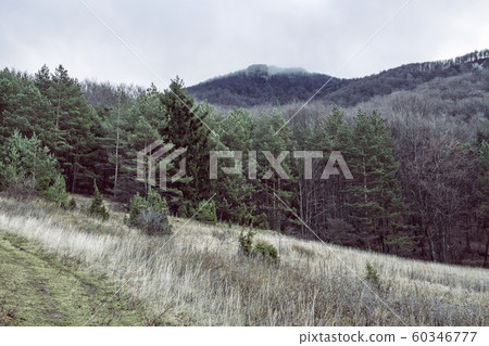 Strazov hill, Strazov Mountains, Slovakia Strazov hill, Strazov Mountains, Slovakia 60346777