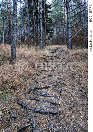 Strazov hill, Strazov Mountains, Slovakia Strazov hill, Strazov Mountains, Slovakia 60346778